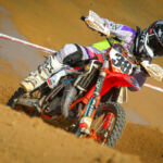 FPCNA : Mont-Saint-Guibert en 50 photos